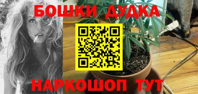 a pvp Свободный