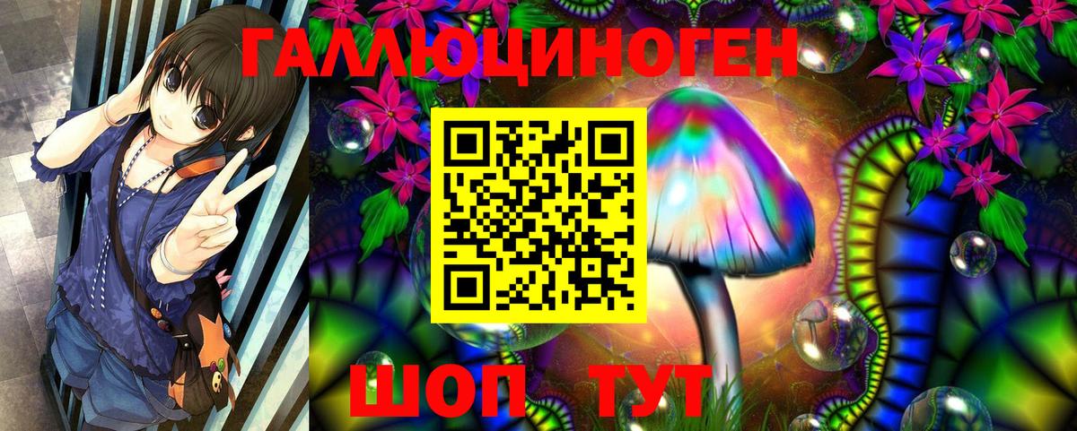 Галлюциногенные грибы MAGIC MUSHROOMS  хочу наркоту  Новочебоксарск  Вход с VPN 
