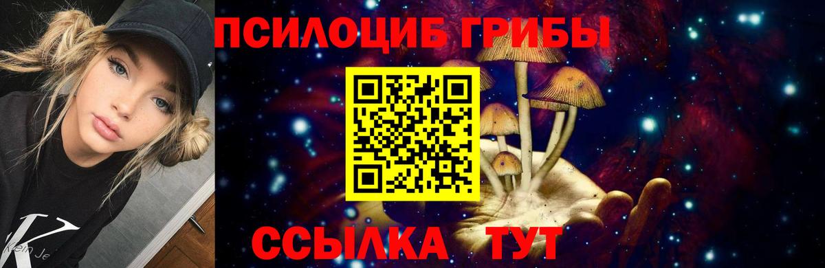 Псилоцибиновые грибы Psilocybe Новочебоксарск